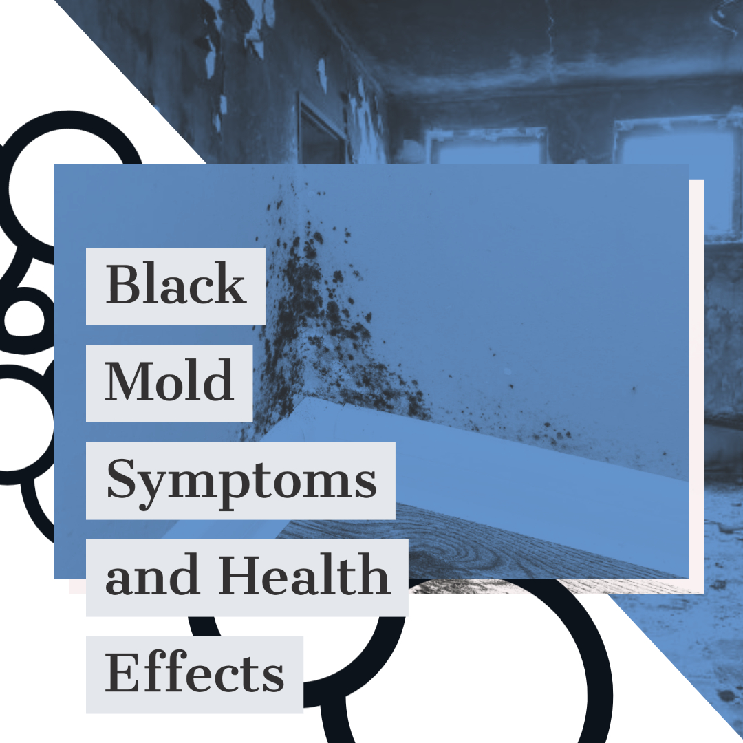 Black Mold Symptoms and Health Effects