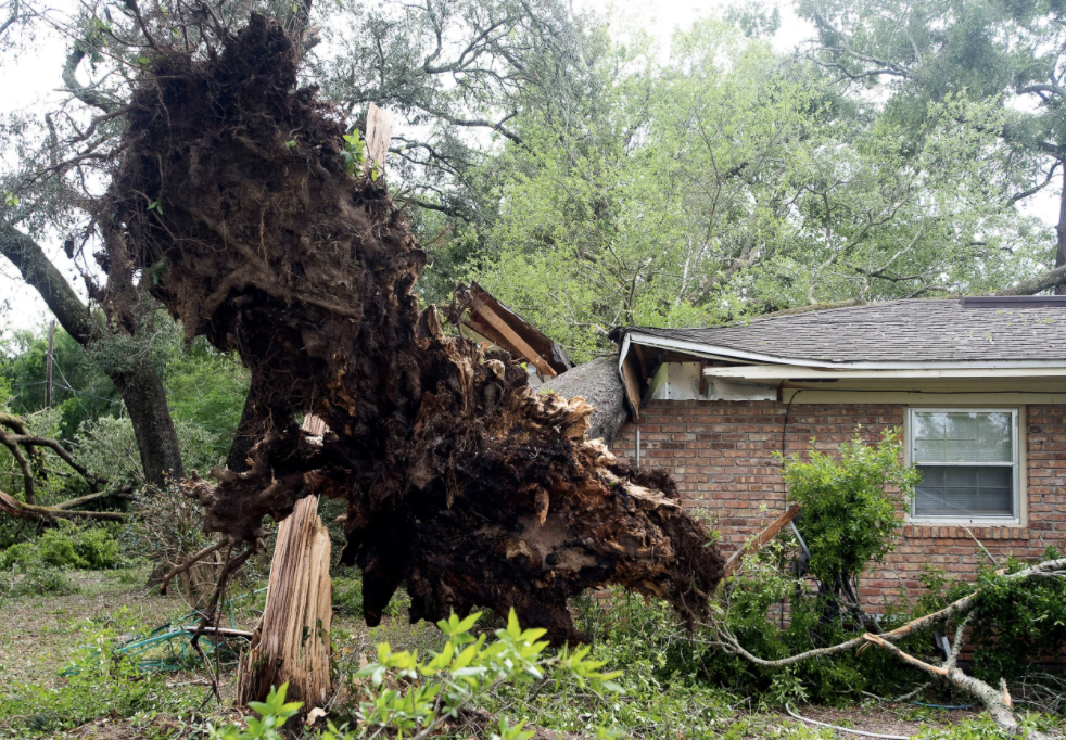 Storm rips through Pensacola area, downing trees and damaging roofs