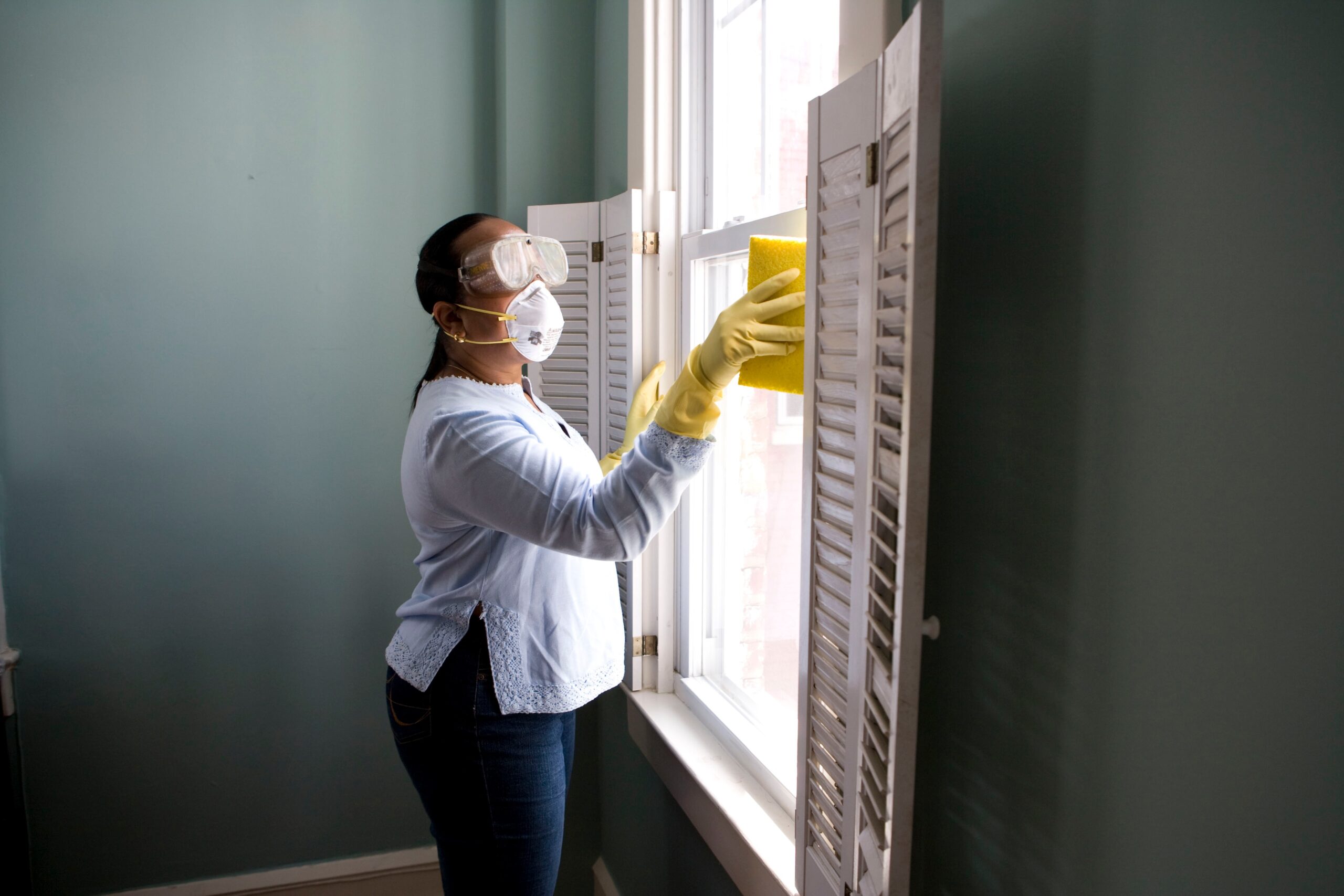 Cleaning Mold: Tips Every Homeowner Should Know