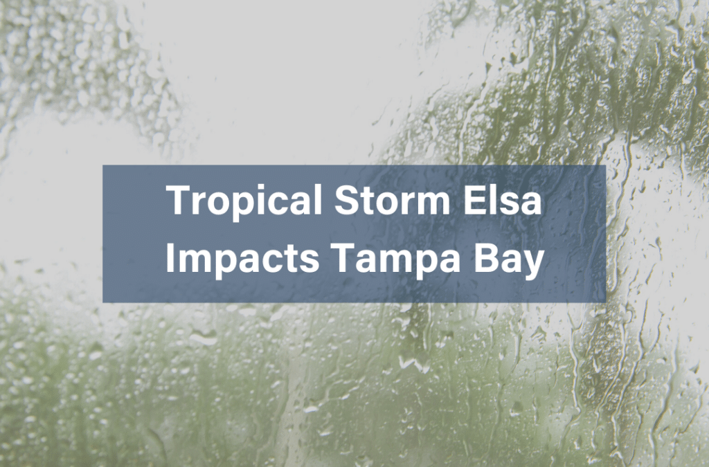 Tropical Storm Elsa Impacts Tampa Bay
