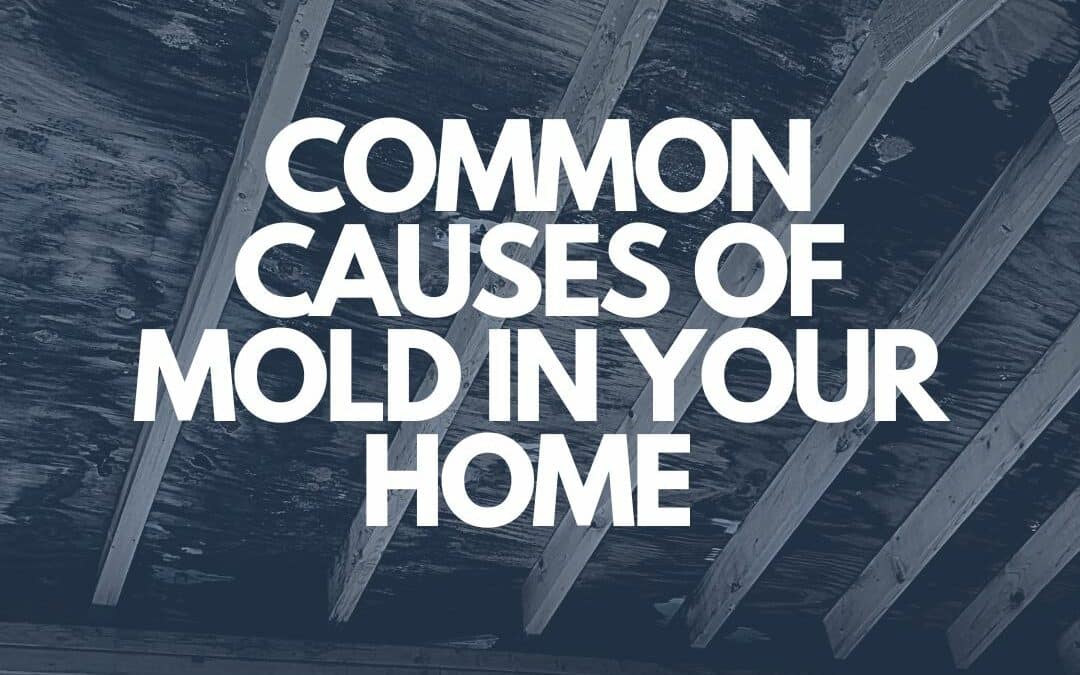 Common Causes of Mold in Your Home