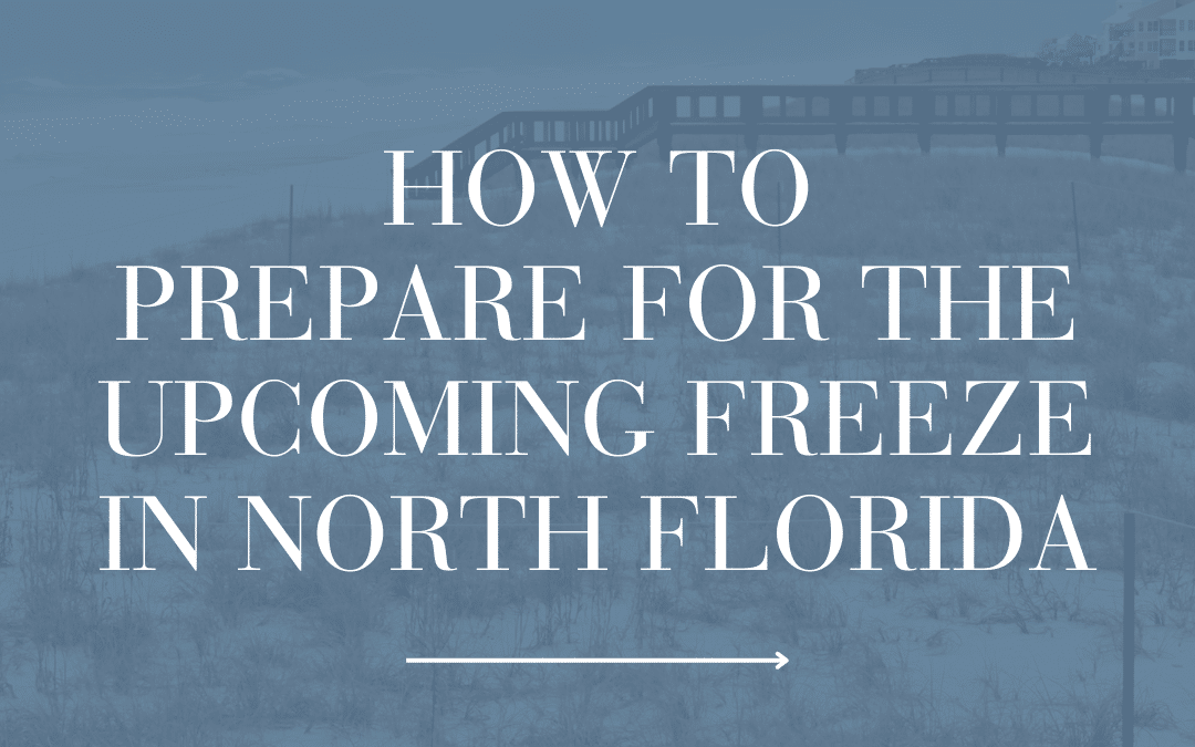 How to Prepare for the Upcoming Freeze in North Florida!