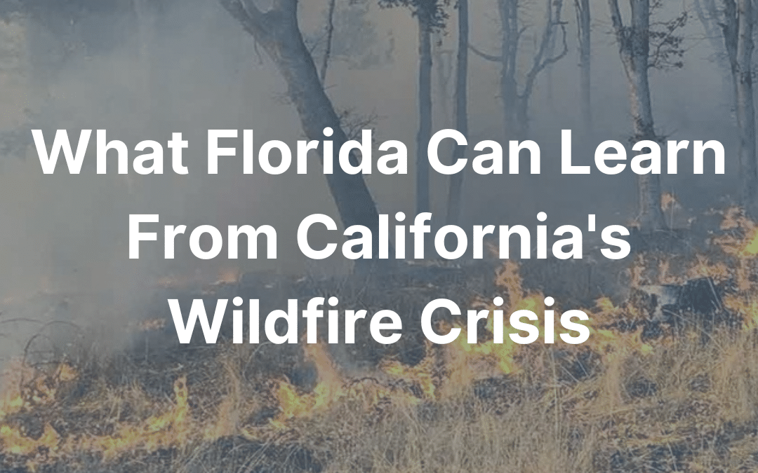 What Florida Can Learn From California’s Wildfire Crisis